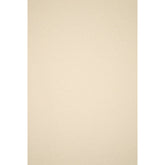 Hobby Vilt | lapje 20 x 30 cm | Crème Vilt VILT - PES - 2030 - CREME - A41